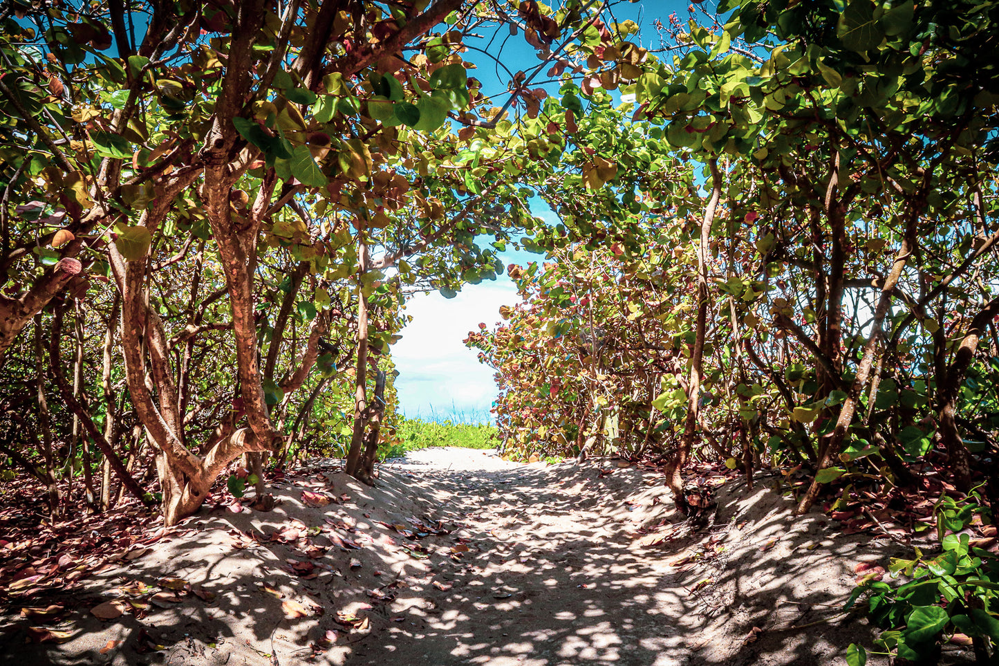 Stuart Beach Hideaway