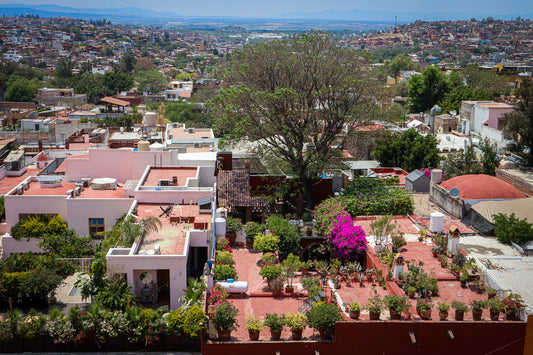 Rooftops of San Miguel