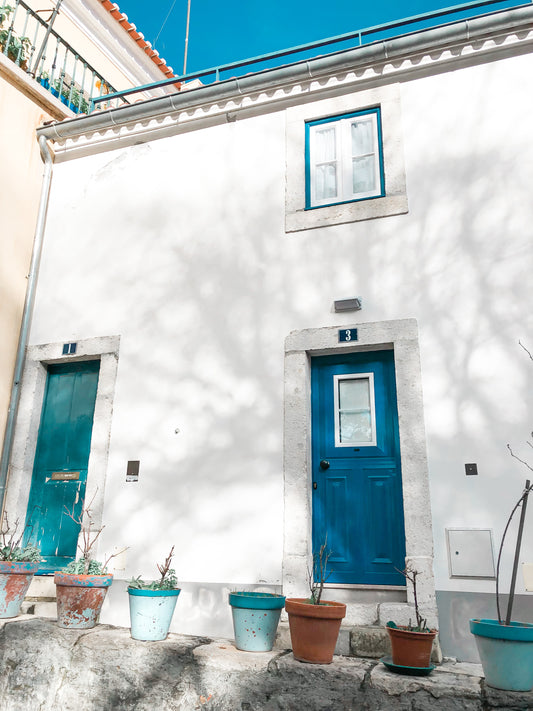 Blue Doors of Portugal