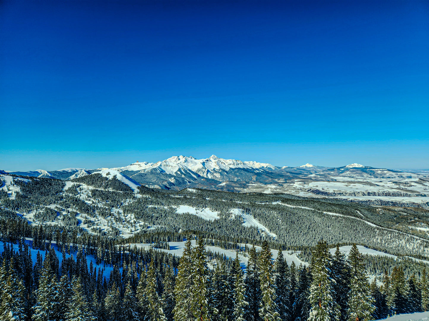 Bluebird Skies