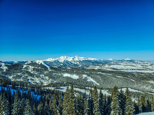 Bluebird Skies