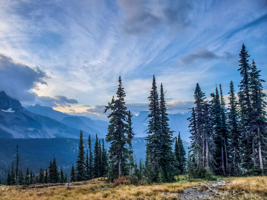 Majestic Montana Evening Sky